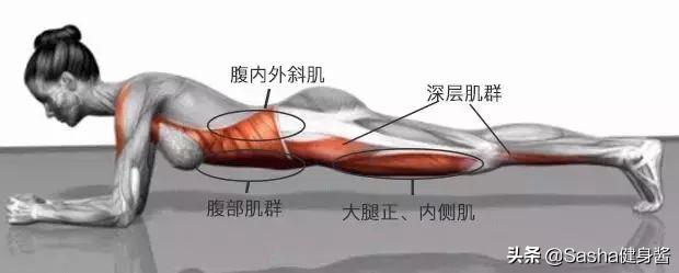 核心肌肉群的锻炼都有哪些,核心肌肉群锻炼方法图解