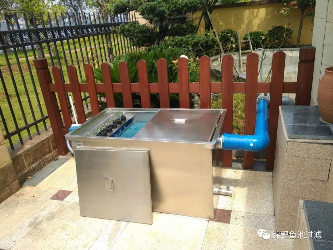 养锦鲤必备的一款鱼池过滤器,锦鲤鱼池过滤器自制方法
