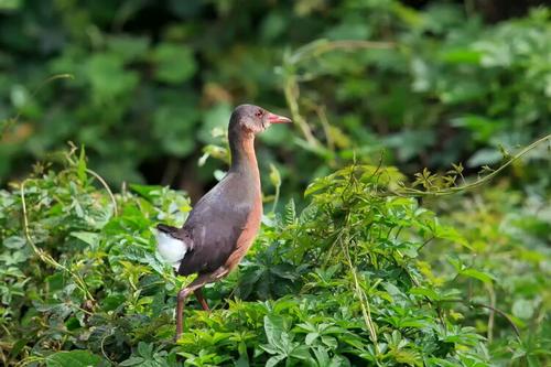 夜钓时遇见哪些恐怖的事情,夜钓怪异的事