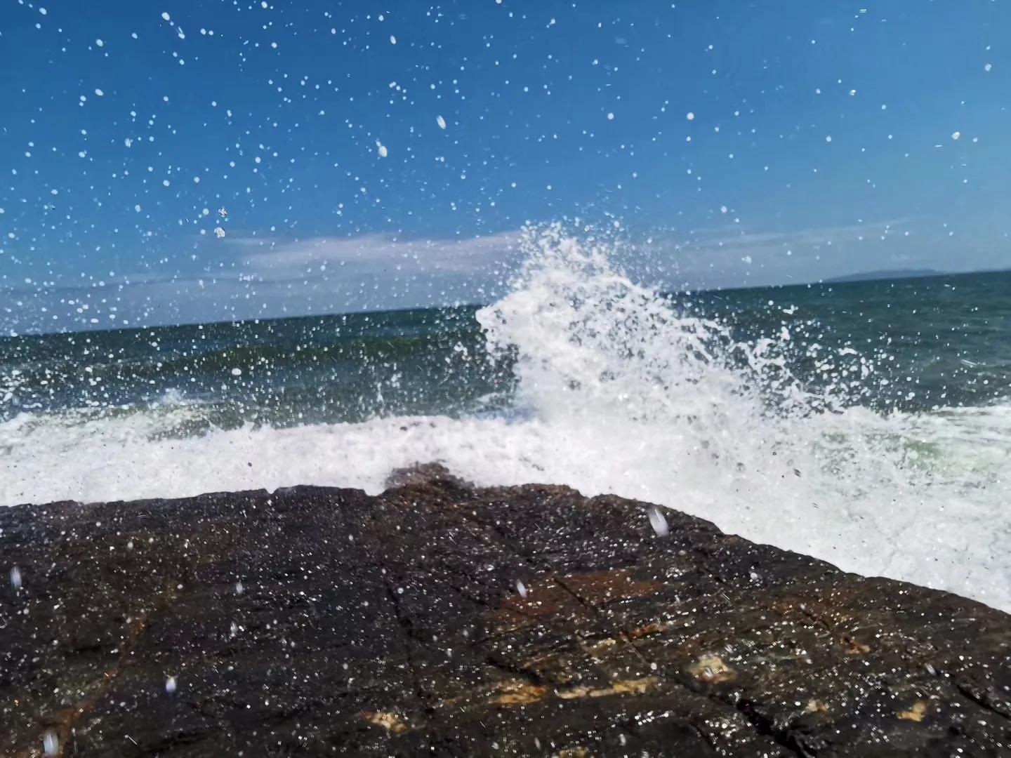 偌大的城市我的栖身之处在何处,偌大的城市容不下一个漂泊的灵魂