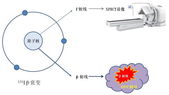 医生，131碘治疗后多久可以和爱人亲密接触？