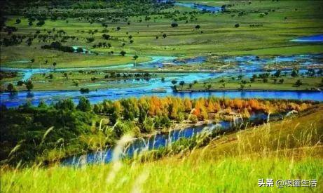 宁安响水石板大米怎么样,宁安真正的响水大米在哪里