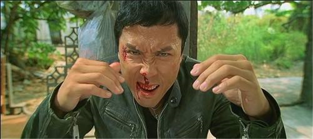 甄子丹十部巅峰动作片,甄子丹拍得最好的一部动作片