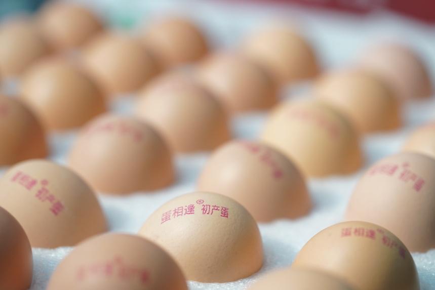 一站式便民利民服务,一站式服务助力企业