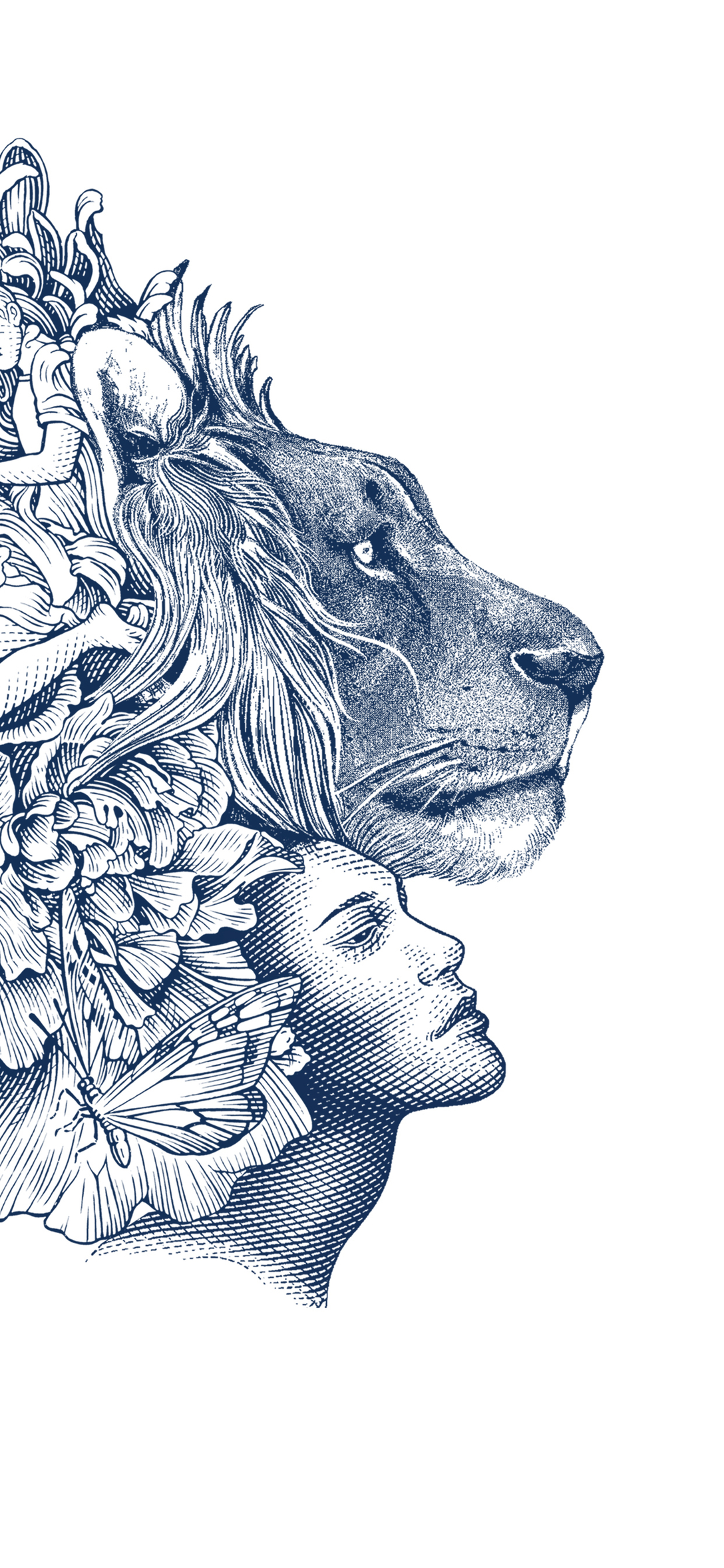 我的酒量是雪花不飘我不飘~雪花黑狮全新包装