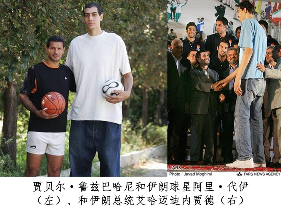 身高3.61米伊朗巨人是真的吗,身高2米24的巨人