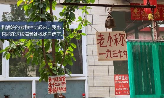 哈弗f7x的樱桃烧烤季,对的时间做对的事英语短句