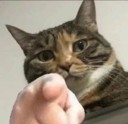 文具安利2019年,年度国产文具安利