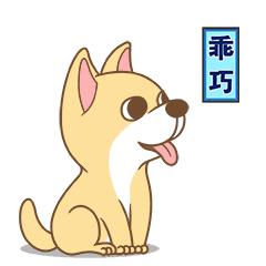 江北区养大型犬,江北宠物基地