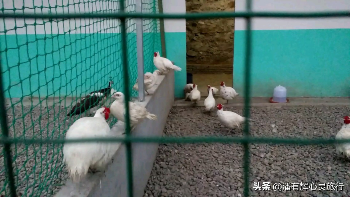 徒步第126天海南环岛行,徒步135天到大悟视频