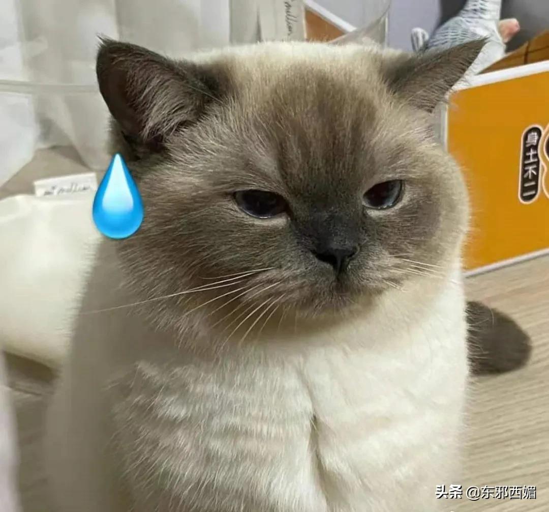 闲鱼卖家卖假货反而被买家坑了,闲鱼被举报卖假货被坑