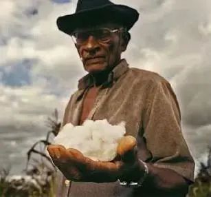 今年流行的帆布鞋宽头,今年流行的帆布鞋花纹