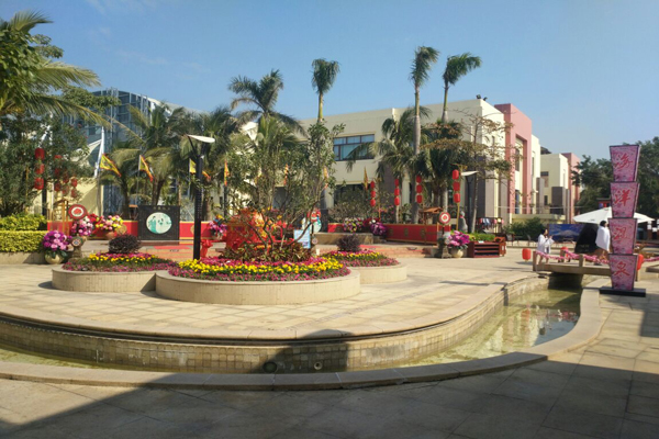 珠海一日游攻略最佳景点,珠海一日游攻略自由行路线推荐