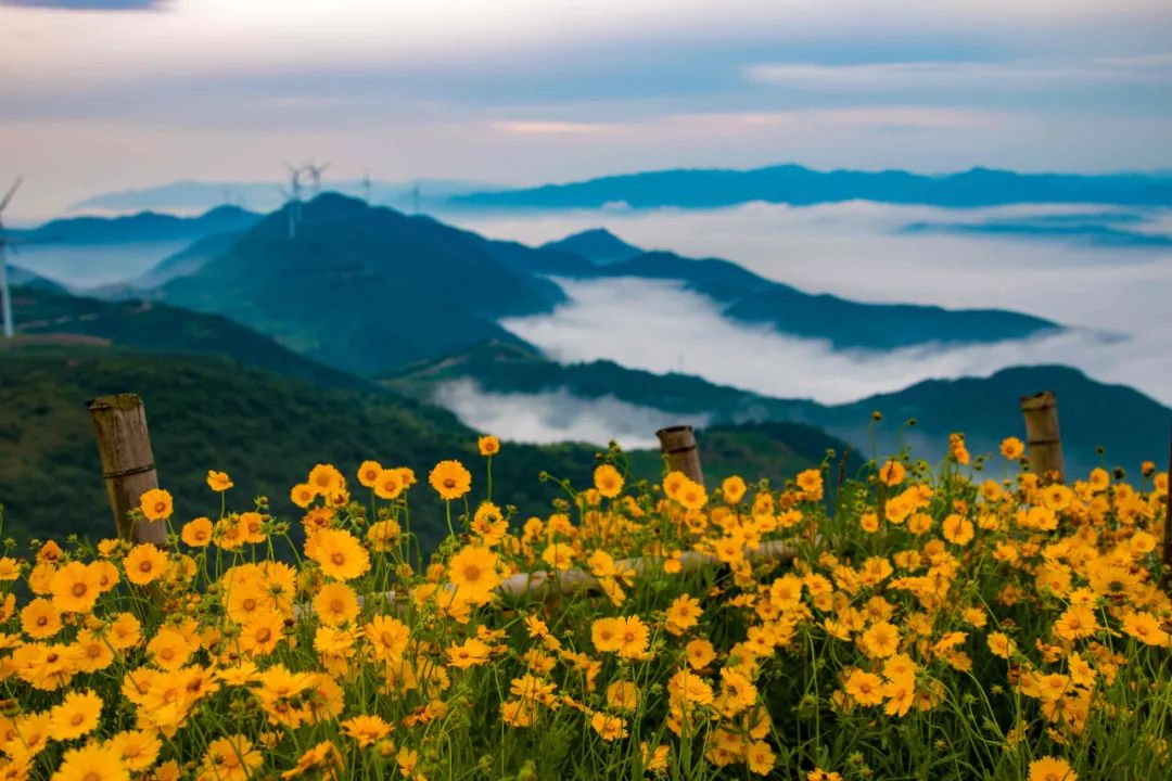 火力发电风电光伏发电一度电成本,风电一年能发多少度电