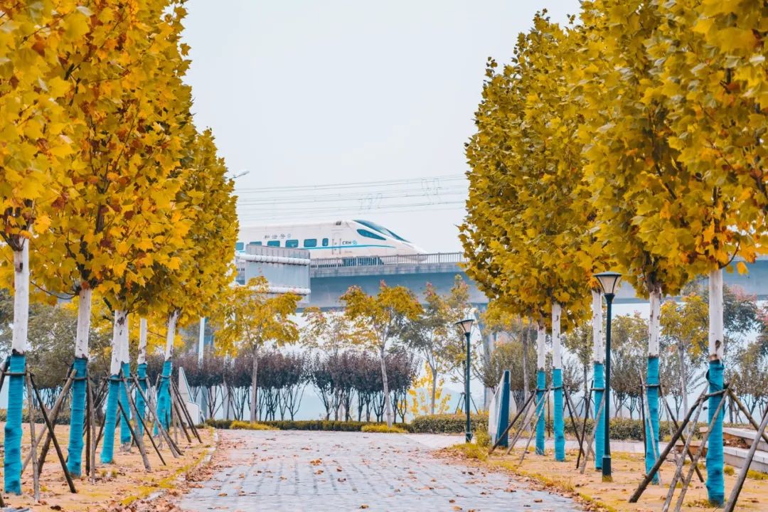 讲真的，你对武汉天河一无所知