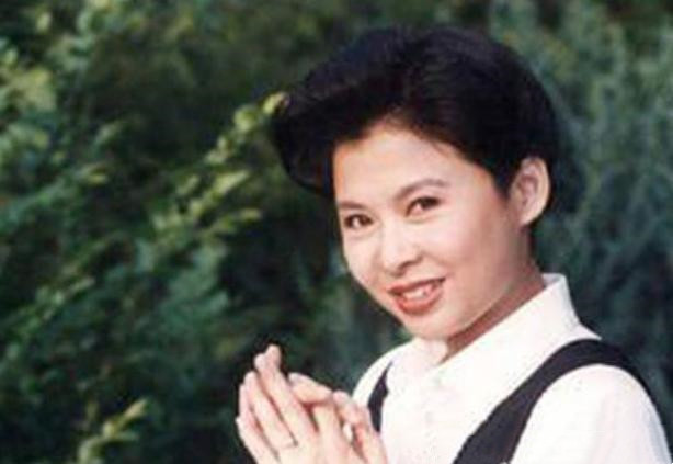 董文华结了几次婚姻,董文华哪年生孩子