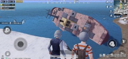 和平精英打卡地点情侣必去,和平精英特训岛的玫瑰花在哪