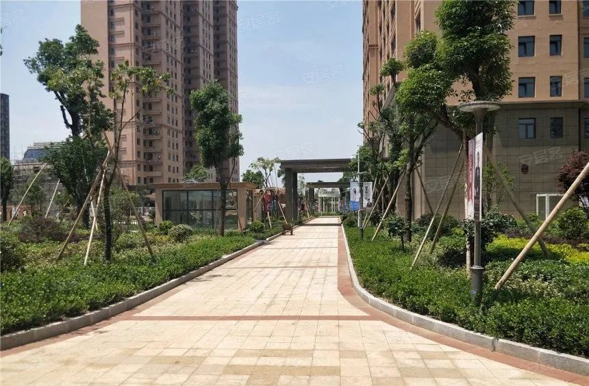 地下车位只卖不租 合理不 (开发商地下停车位只卖不租)