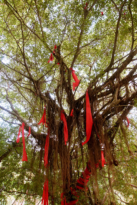 广州巴厘岛免费景点,广州温泉度假攻略