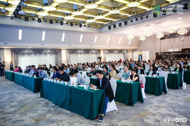 展现铿锵有力的“云南力量”|宴会同窗昆明班会