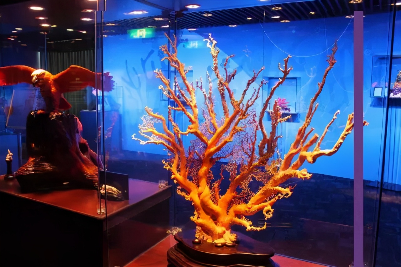 中华奇石图片,中华奇石自然景观