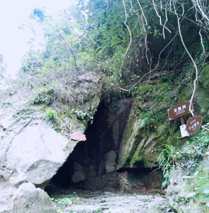 平江碧龙峡景区值得去玩吗,平江碧龙峡全长多少公里