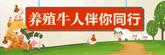 金蝉养殖书,金蝉养殖实用技术百度网盘