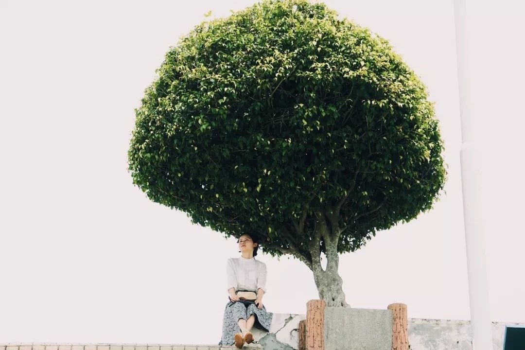 深圳游玩最佳地点排行榜前十名,深圳适合小孩游玩最佳地方推荐