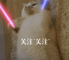 狗狗按摩方法：给狗狗来一套“马杀鸡”，让它更爱你