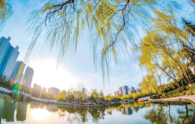 有一种春天叫西安的春天,西安古都的春天在哪里