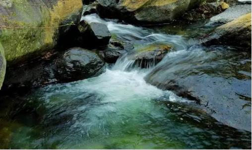 明月松间照清泉石上流朗读,明月松间照清泉石上流翻译