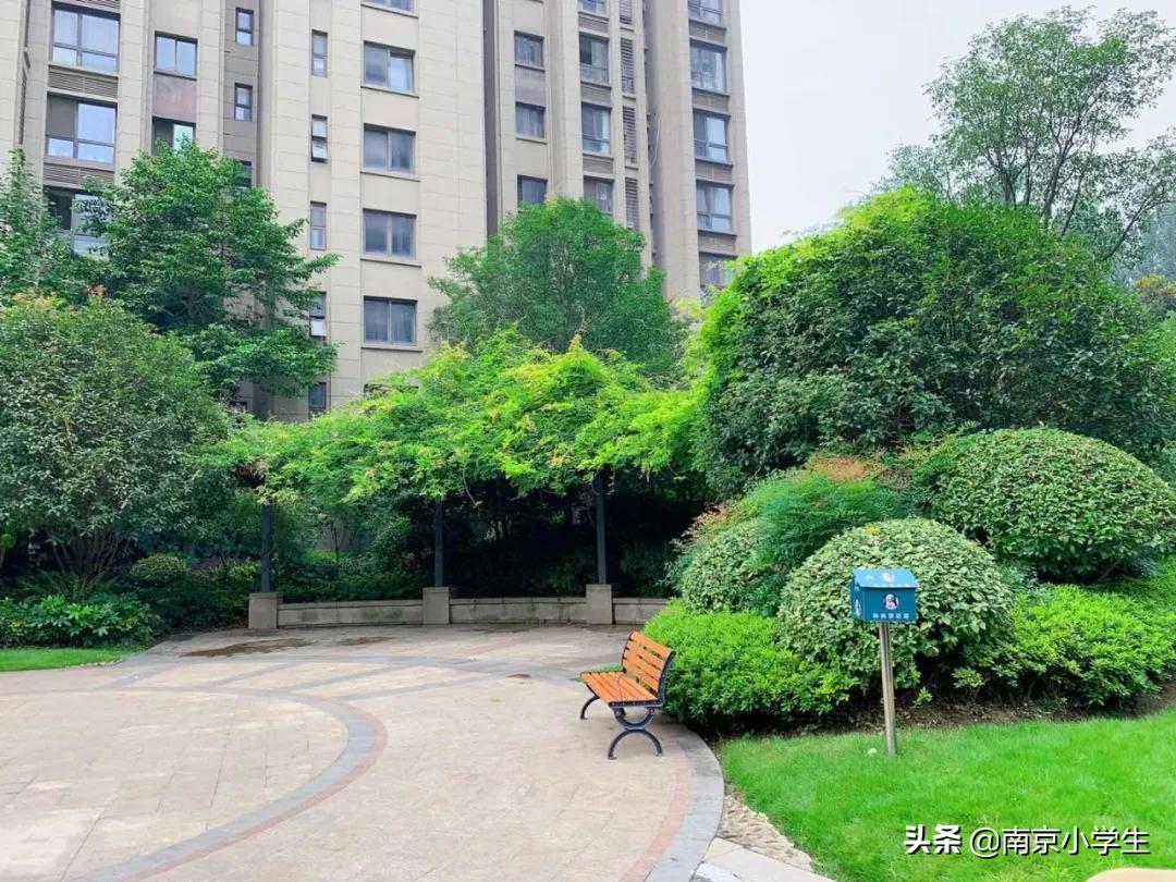 南师大附属中学江山小学地址,南师附中江山小学公示