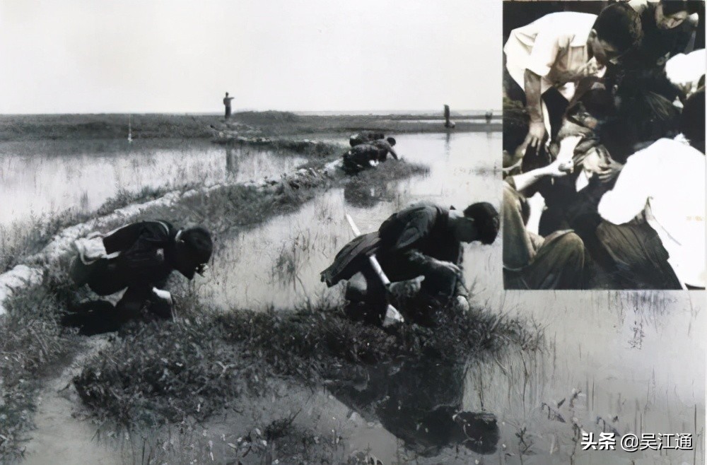 鎴戠粡鍘嗙殑鐤儏,鎴戠粡鍘嗙殑鎶楃柅鏁呬簨