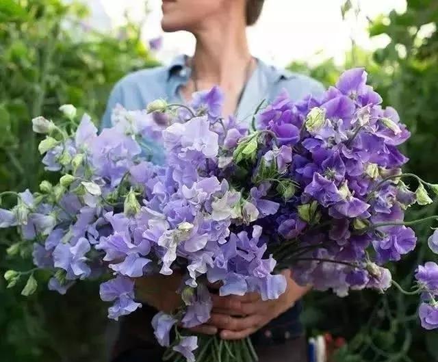 心理测试测你会在哪里结束单身,心理测试选图测你会柳暗花明吗