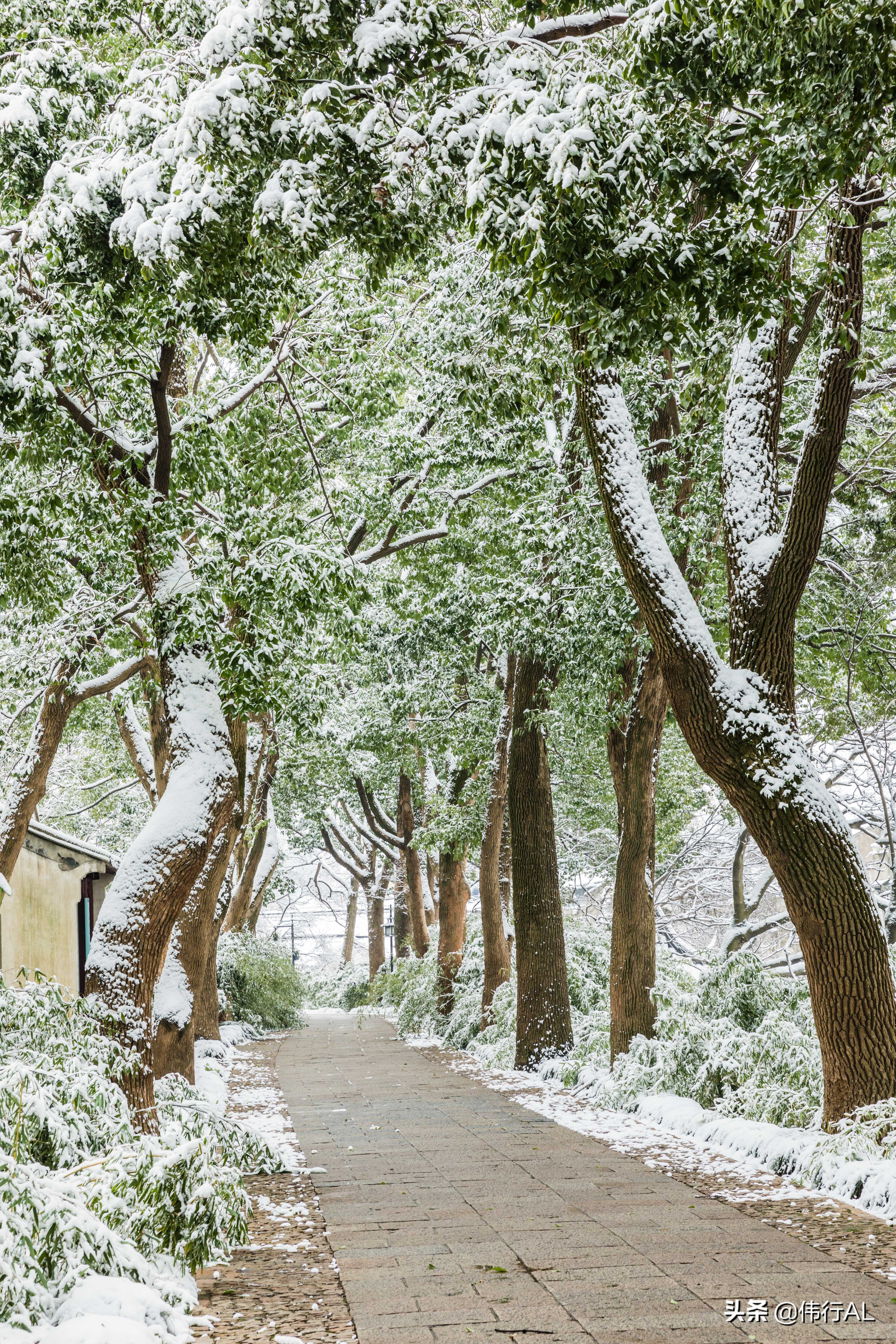 虎丘的十八景,吴中第一名胜虎丘纪念章