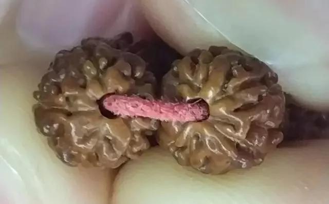 藏式老小金刚108颗包浆玉化,藏式盘龙小金刚容易包浆吗