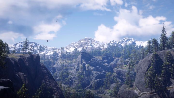 荒野大镖客救赎2新手攻略,荒野大镖客救赎2怎么获取白马