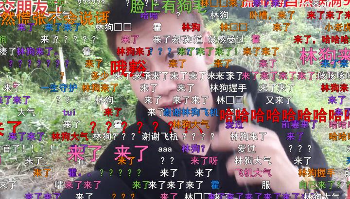 339斗鱼虎皇,斗鱼339老虎皇