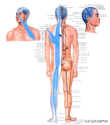 膀胱镜是好的说明膀胱是好的吗,膀胱镜最常见的病症