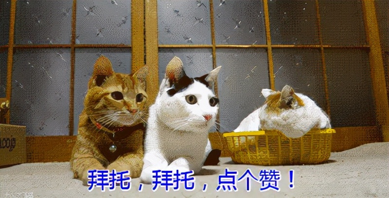 地板瓷砖被水泡了,地板全部被水泡了怎么办