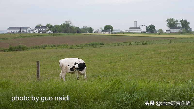 兰卡斯特宾夕法尼亚,兰卡斯特大学lancaster