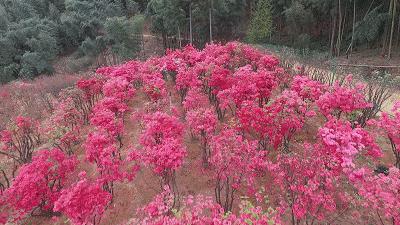 珠海是一座充满回忆的城市,珠海一个逐渐落寞的城市