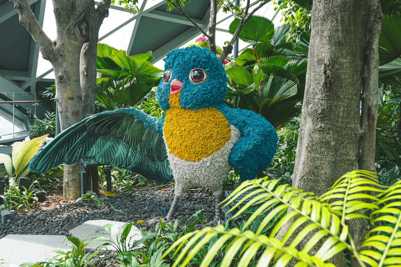 一人一猫环游,一人一猫旅行