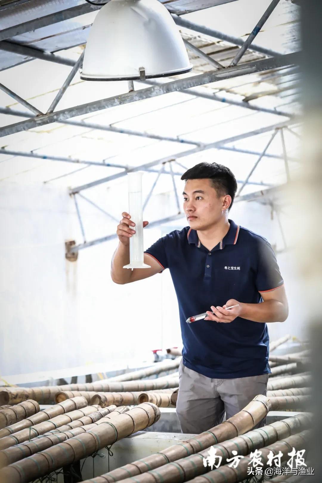 生蚝除了吃，还能干什么？湛江90后养蚝人玩转蚝产业链