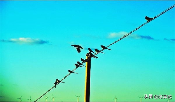 学会与人相处的三大哲理,顺人性与逆人性的本质