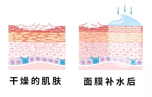 面膜怎么敷最好记住6步,面膜怎么敷才是正确的方法