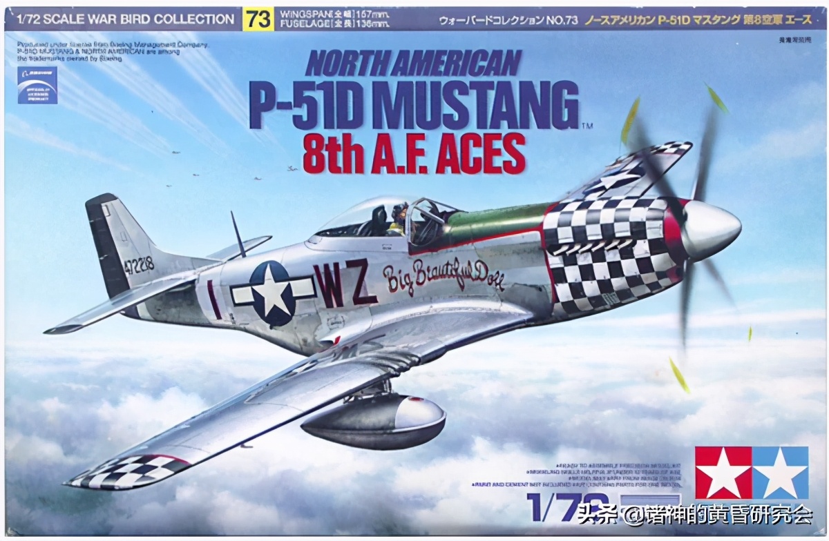 彩绘中的战争,彩绘的战争