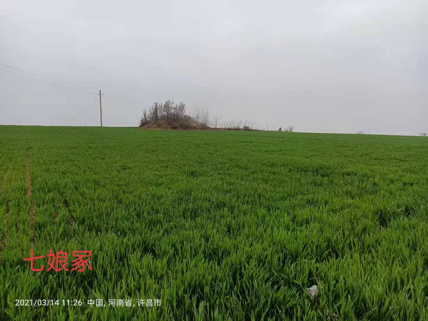 黄台遗址,千年古县寻古探幽全面展示