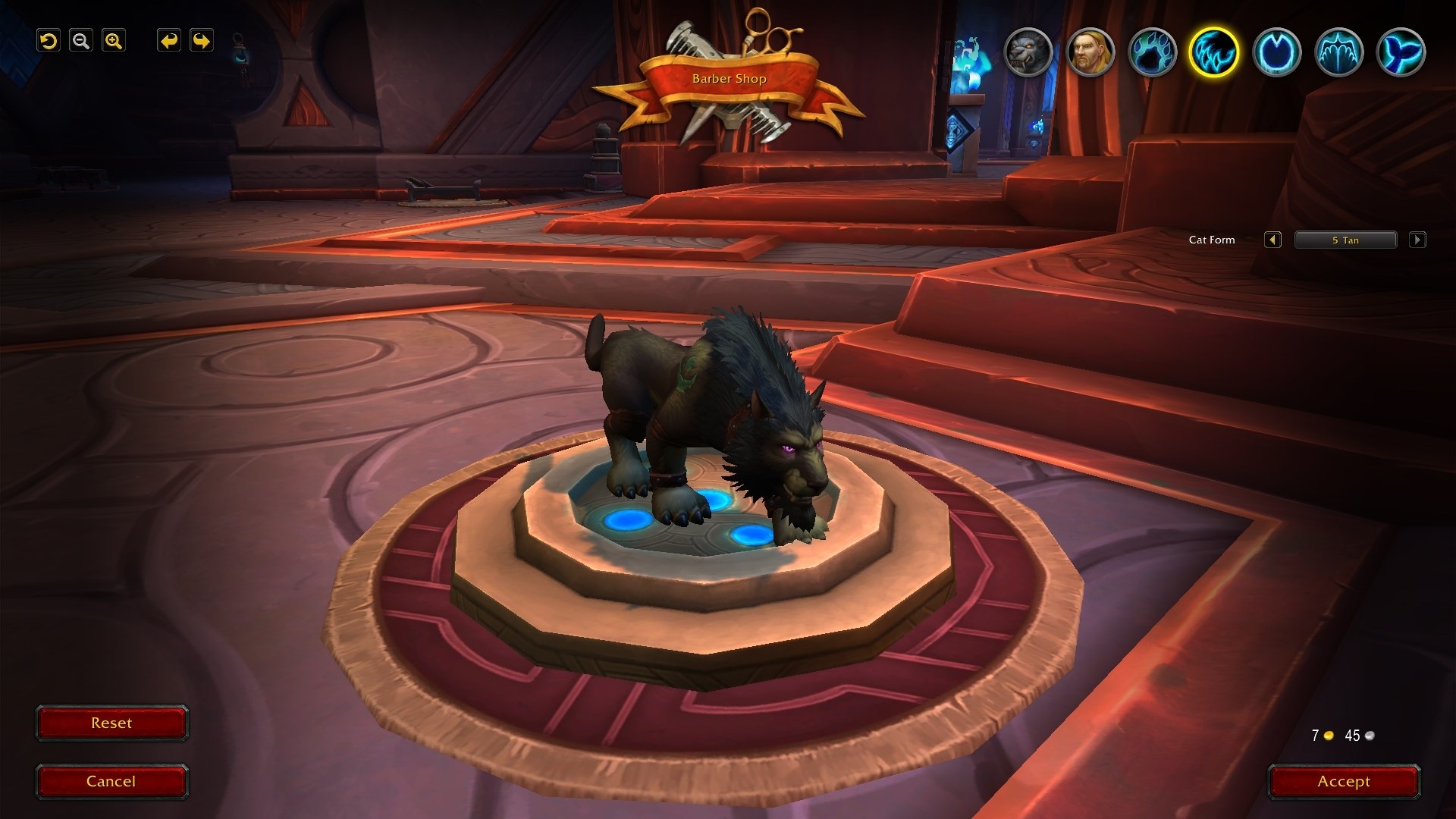 魔兽世界10.0德鲁伊造型,魔兽世界德鲁伊变身的地方在哪