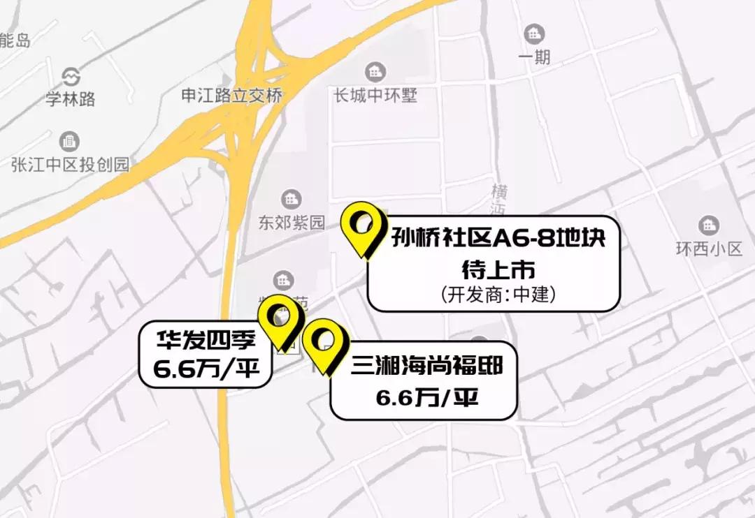 周浦镇和张江镇哪个好,周浦和唐镇哪个有潜力